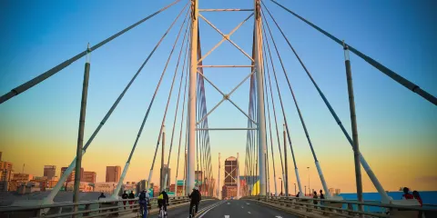 The Real South Africa