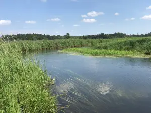 Mississippi Headwaters State Forest