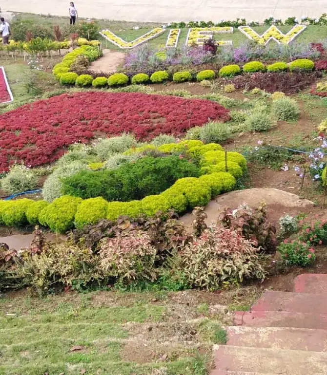 克拉韋里亞