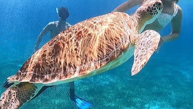 Adrian Cozumel Experiences