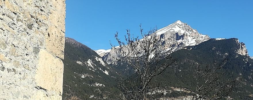 Torre Delfinale