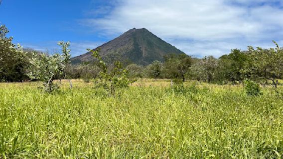 Ometepe Zip Line Tour