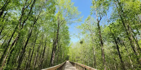 Jessie E. Tanner Junior Park