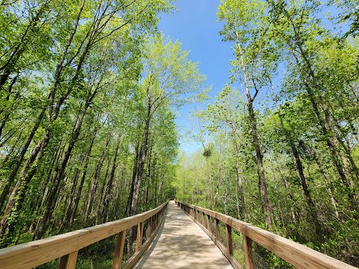 Jesse E. Tanner Junior Park