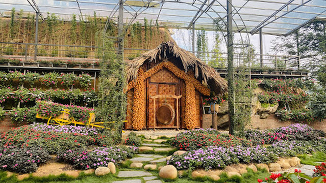 Vườn Hồng Cổ Sa Pa