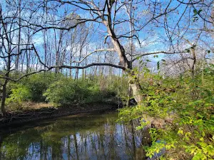Veterans Park