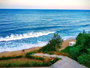 Public Beach Biala