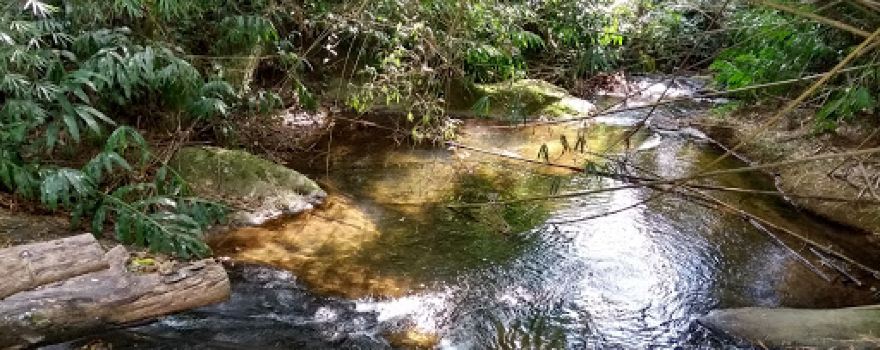 Cachoeira da Usina
