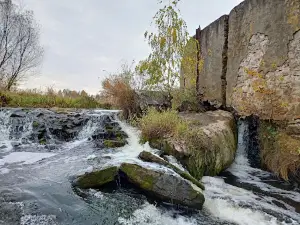 Rozsokhivs'ke Viddilennya Pz "Drevlyansʹkyy"