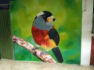 Avistamiento de aves Doña Dora - km 55