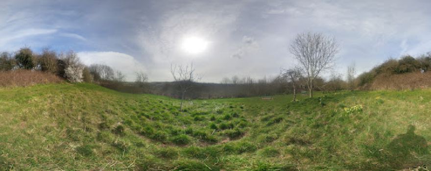 Tower Wood Community Orchard