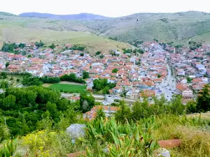 Şhr. Uzm. Çvş. Nurullah Oymak Ormanı
