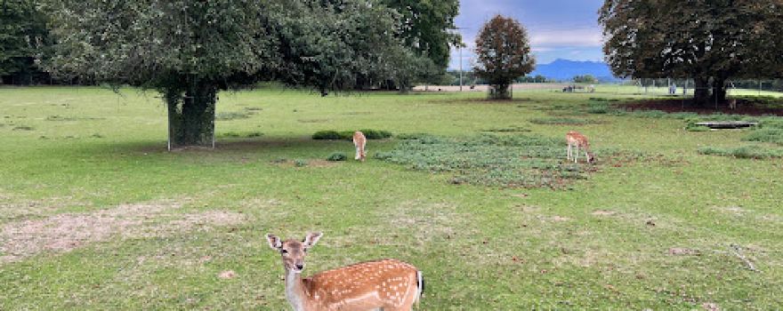 Tierpark Waltenschwil