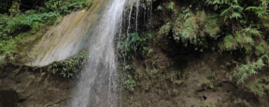 Akashdhara