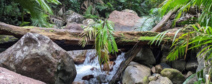 Cochable Creek