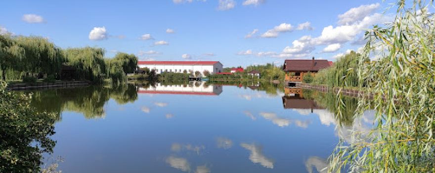 Конный клуб Звезда
