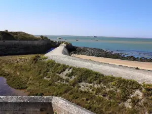 Gosudarstvennyy Prirodnyy Zapovednik "Chernyye Zemli"