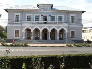 Casa De Cultura-Tecuci