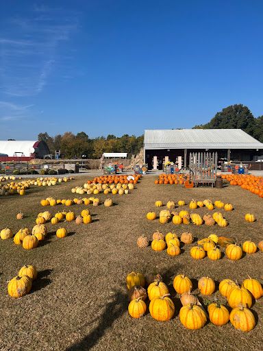 Marlow's Pumpkin Patch