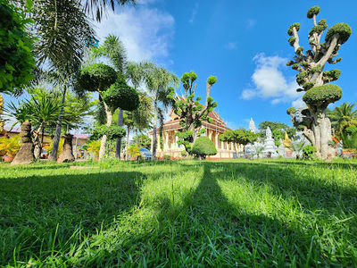 Wat Phnov