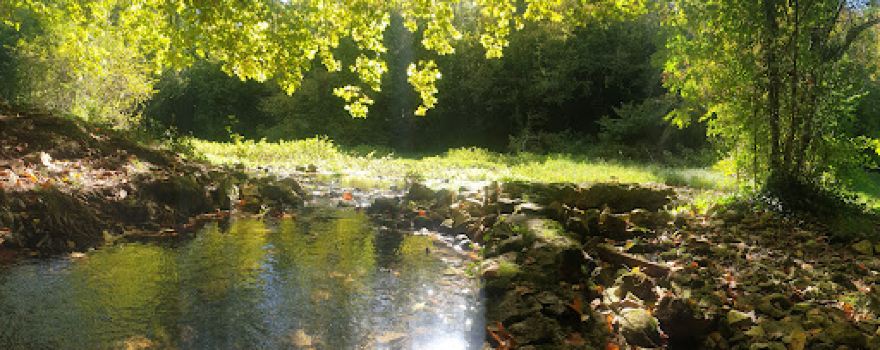 Source du Fontou