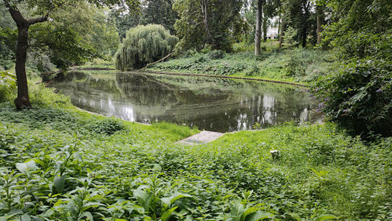 Schaerbeek