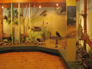 Muzeum Puszczy Kampinoskiej