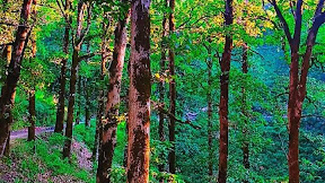 Plage Radma شاطئ الردمة