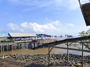 Pantai Tenggayun