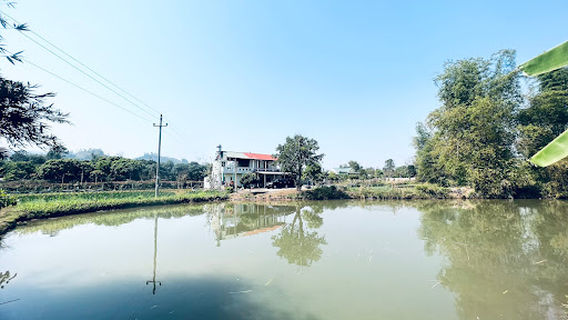 Trang trại (Farm) Lò Ngọc Quý