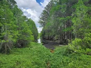 Alligator Lake Park