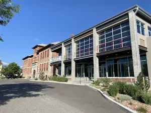 Shane Lalani Center for the Arts