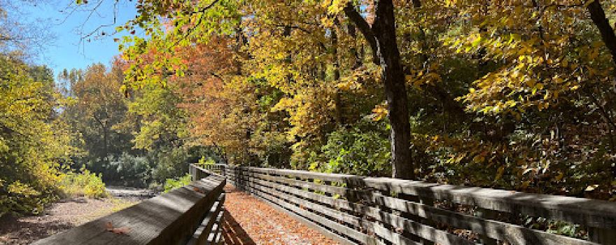 Bear Creek Trail - N Creasy Springs Road Trailhead