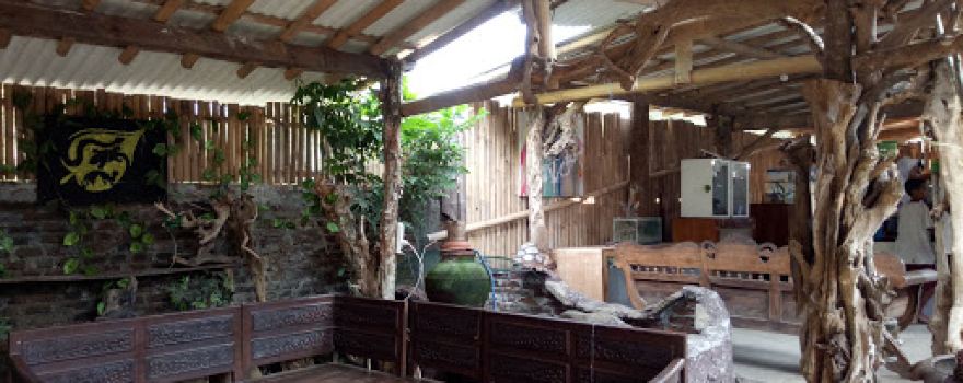 Reptile rescue borobudur
