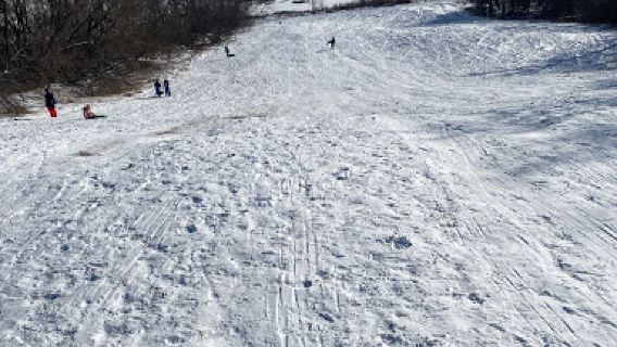 Bangor Dog Park