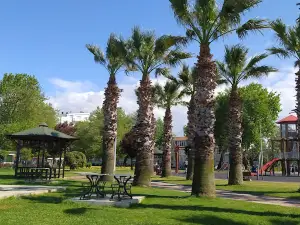 Park August 17