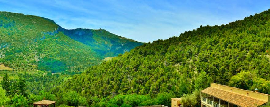 L'Oree de Provence