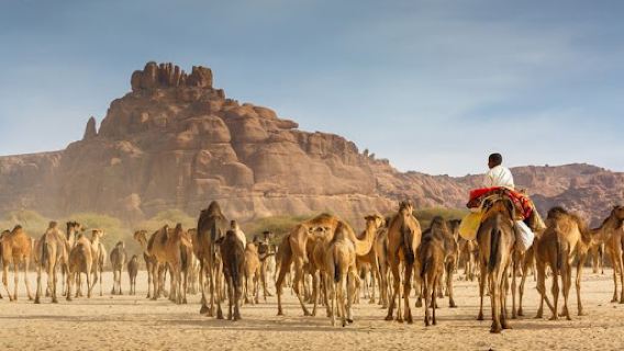 Moundou