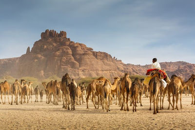 Moundou