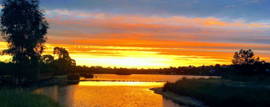 Frog Hollow Reserve