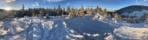 Arbutus Grove Provincial Park