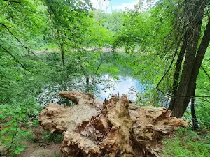 Battonyai Feneketlen Tó