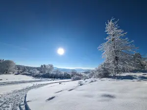 Aussichtspunkt Hohenzollernblick