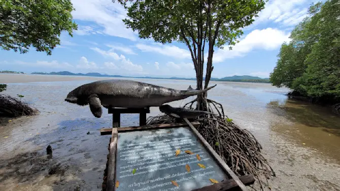 ศูนย์ศึกษาธรรมชาติป่าชายเลนอ่าวคุ้งกระเบน