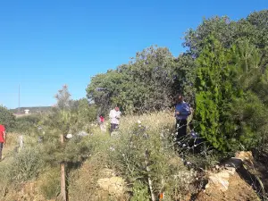 Yenibaşlar