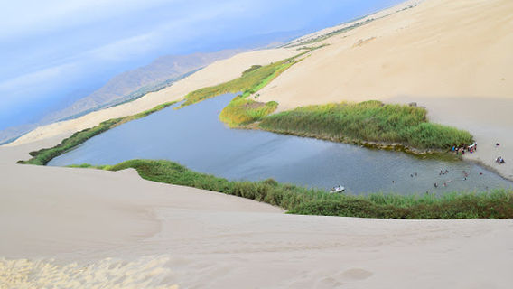 Oasis De Morón