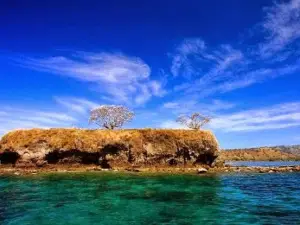 Pulau Ular Wera Bima
