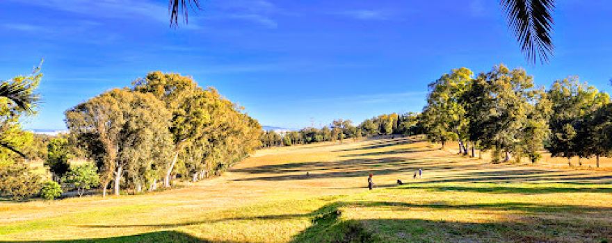 golf course