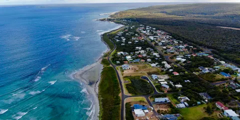 Whale Rescue Memorial
