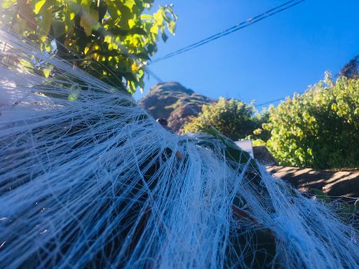 Indi Katupāna (Point of Needles) | ඉඳිකටුපාන